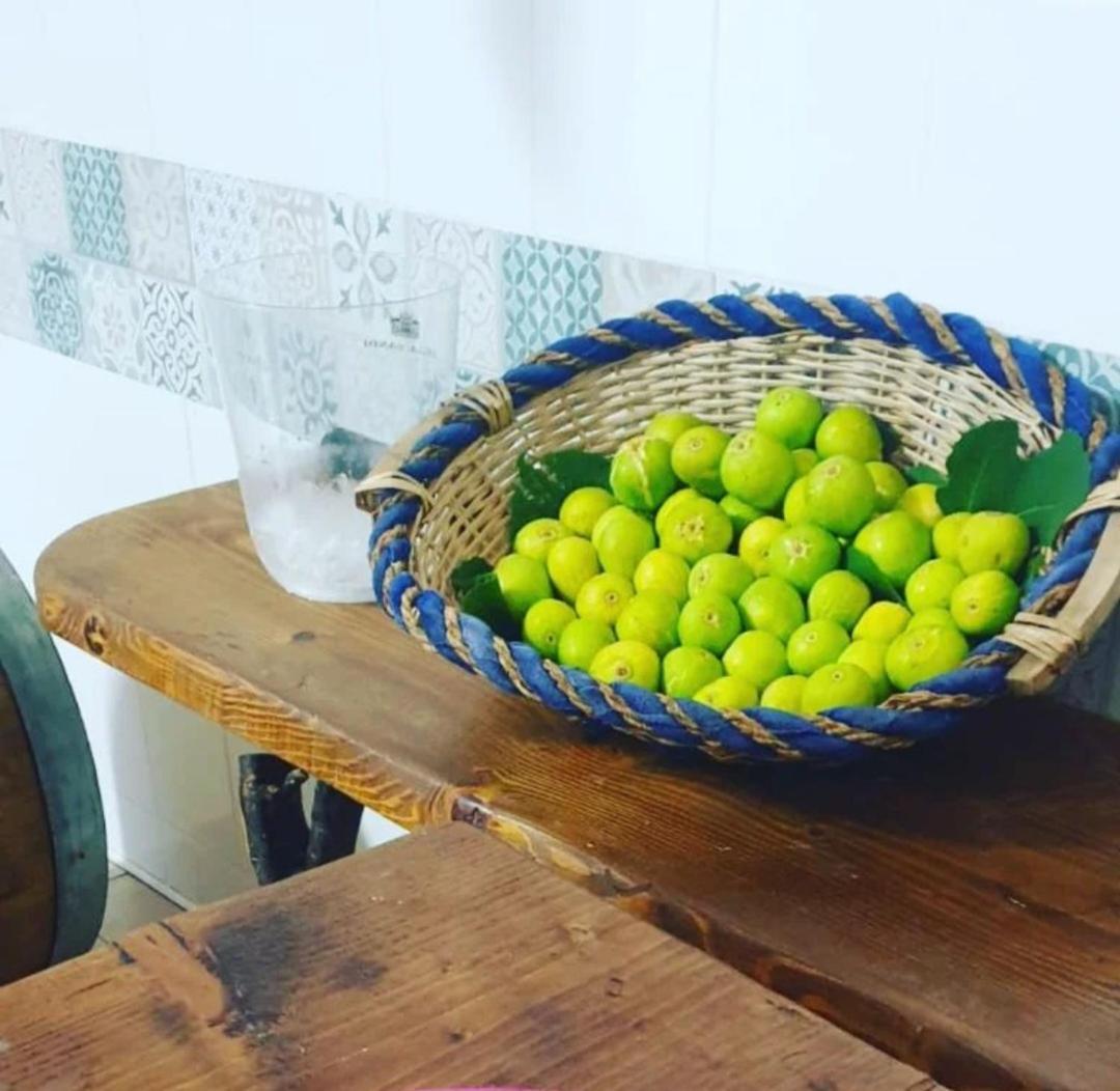 Agriturismo Fuoco D'Amalfi Villa Iazzetta エクステリア 写真