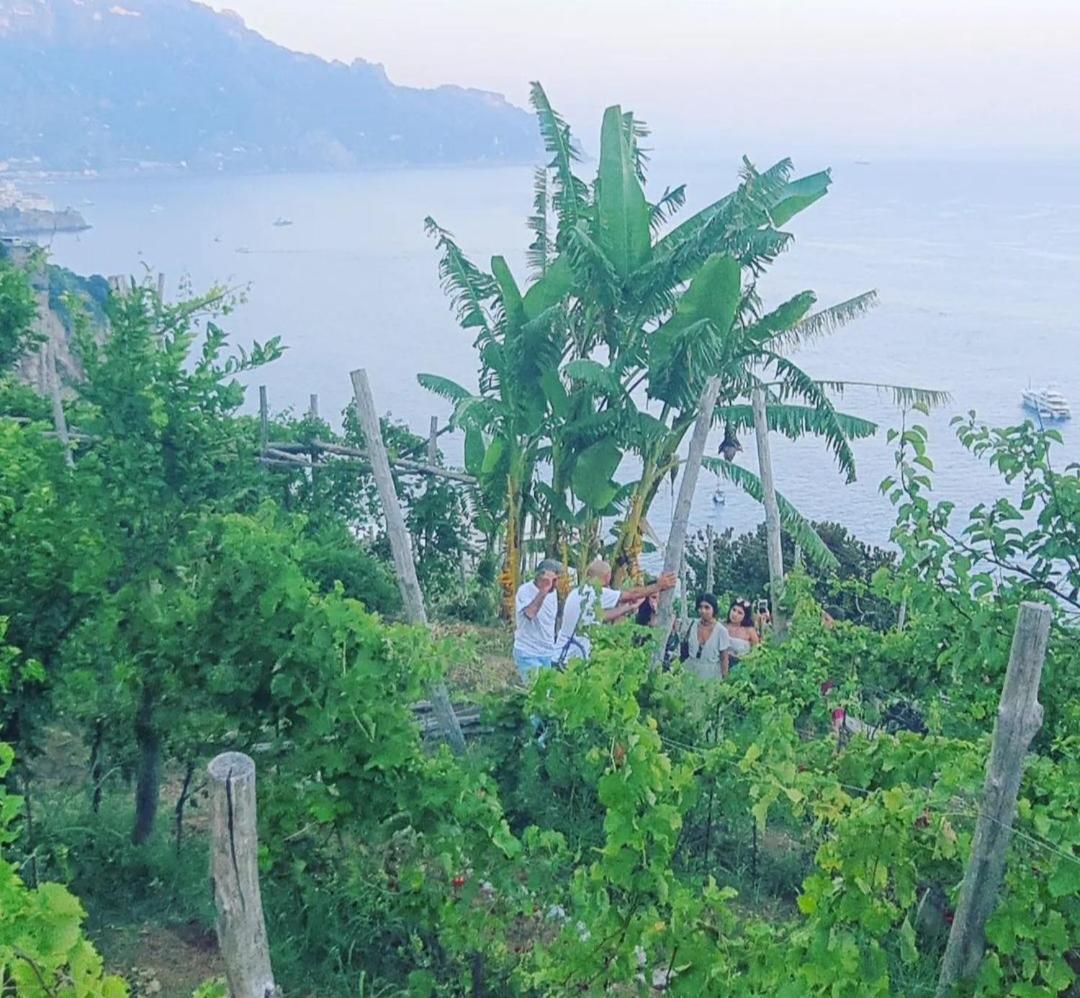 Agriturismo Fuoco D'Amalfi Villa Iazzetta エクステリア 写真